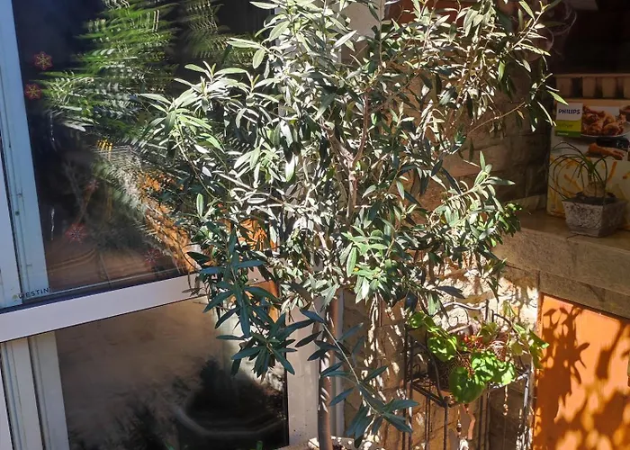 студио в центъра на стария Nesebar